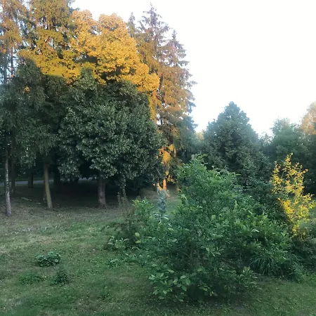 Zabytkowy Drewniany Dom Z 1887 Roku * Nowy Dwór Gdański