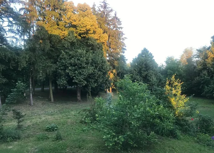 Zabytkowy Drewniany Dom Z 1887 Roku * Nowy Dwór Gdański