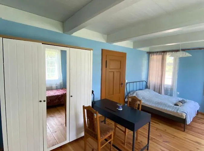 Zabytkowy Drewniany Dom Z 1887 Roku 民宿 Nowy Dwór Gdański